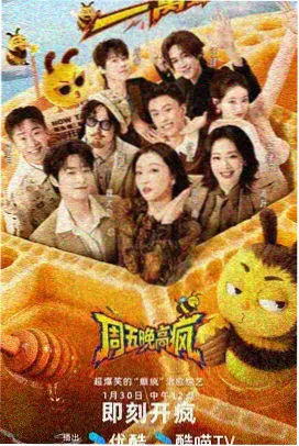 一起去露营综艺在线观看